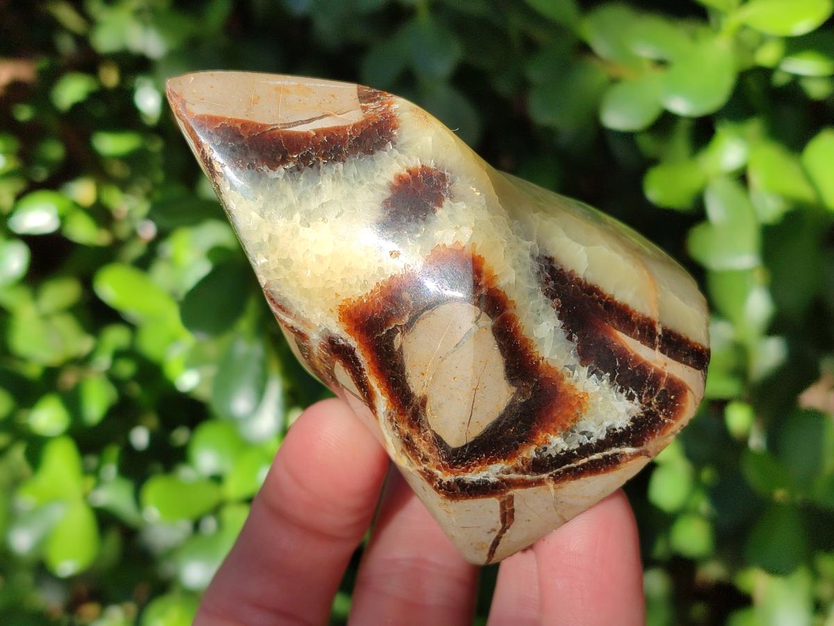 Polished Septerye Flames x 6 From Mahajanga, Madagascar - Toprock Gemstones and Minerals 