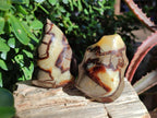 Polished Septerye Flames x 6 From Mahajanga, Madagascar - Toprock Gemstones and Minerals 