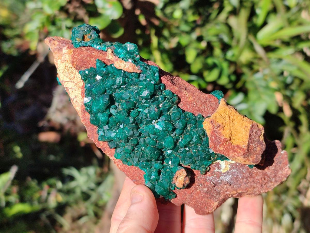 Natural Cabinet Size Dioptase on Dolomite Specimen x 1 From Mashamba East Mine, Congo - Toprock Gemstones and Minerals 