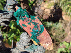 Natural Cabinet Size Dioptase on Dolomite Specimen x 1 From Mashamba East Mine, Congo - Toprock Gemstones and Minerals 