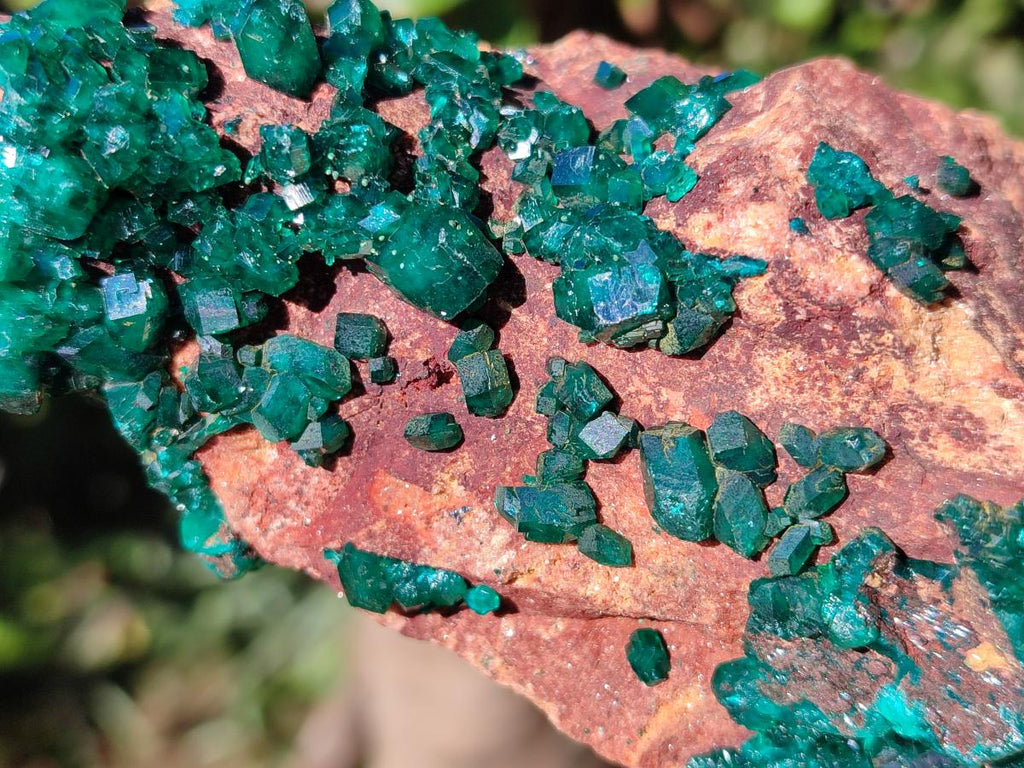 Natural Cabinet Size Dioptase on Dolomite Specimen x 1 From Mashamba East Mine, Congo - Toprock Gemstones and Minerals 
