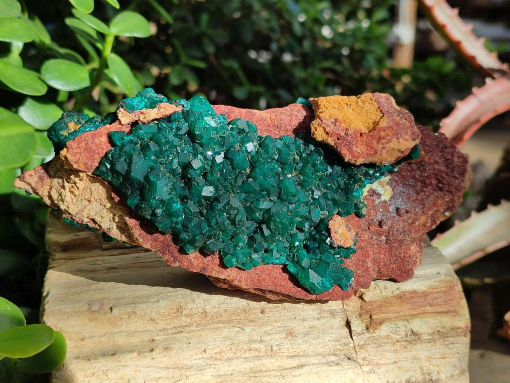 Natural Cabinet Size Dioptase on Dolomite Specimen x 1 From Mashamba East Mine, Congo - Toprock Gemstones and Minerals 