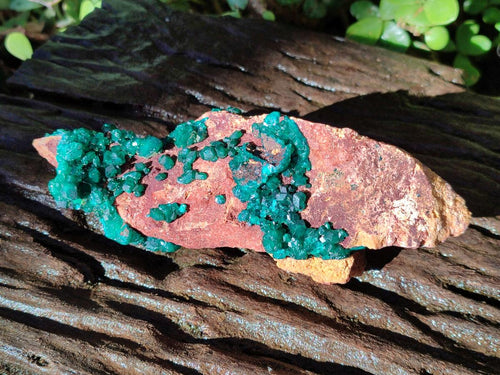 Natural Cabinet Size Dioptase on Dolomite Specimen x 1 From Mashamba East Mine, Congo - Toprock Gemstones and Minerals 