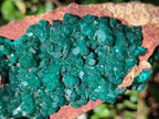 Natural Cabinet Size Dioptase on Dolomite Specimen x 1 From Mashamba East Mine, Congo - Toprock Gemstones and Minerals 