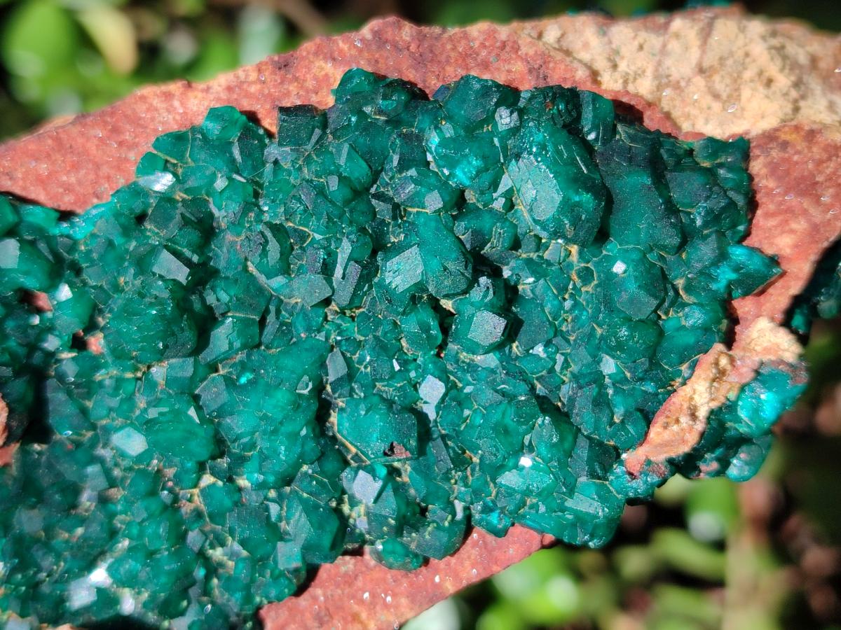 Natural Cabinet Size Dioptase on Dolomite Specimen x 1 From Mashamba East Mine, Congo - Toprock Gemstones and Minerals 