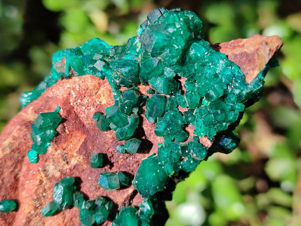 Natural Cabinet Size Dioptase on Dolomite Specimen x 1 From Mashamba East Mine, Congo - Toprock Gemstones and Minerals 