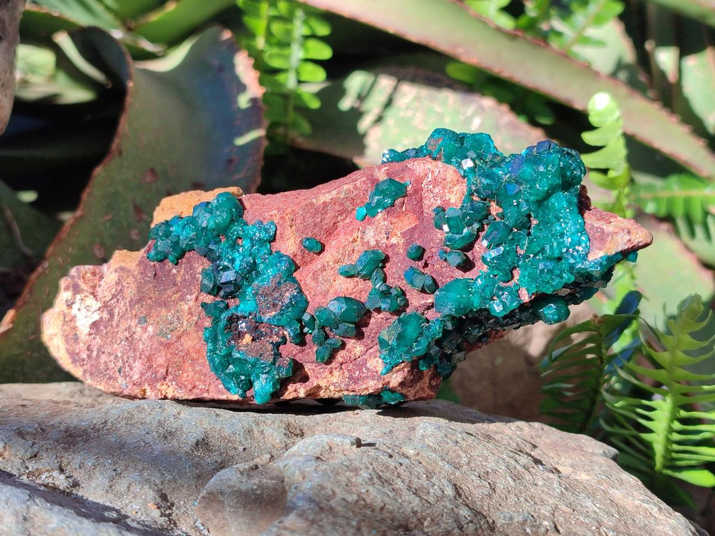 Natural Cabinet Size Dioptase on Dolomite Specimen x 1 From Mashamba East Mine, Congo - Toprock Gemstones and Minerals 