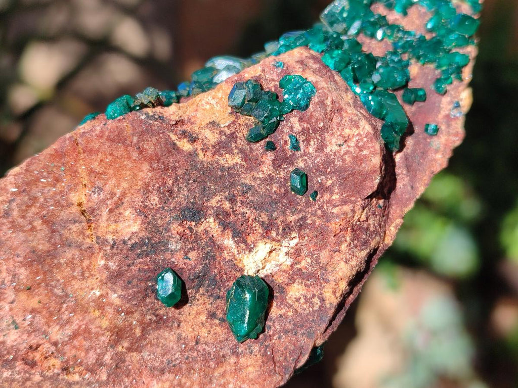 Natural Cabinet Size Dioptase on Dolomite Specimen x 1 From Mashamba East Mine, Congo - Toprock Gemstones and Minerals 