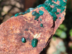Natural Cabinet Size Dioptase on Dolomite Specimen x 1 From Mashamba East Mine, Congo - Toprock Gemstones and Minerals 