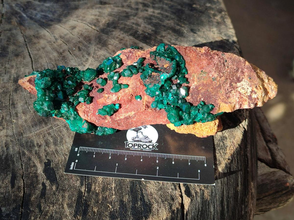Natural Cabinet Size Dioptase on Dolomite Specimen x 1 From Mashamba East Mine, Congo - Toprock Gemstones and Minerals 
