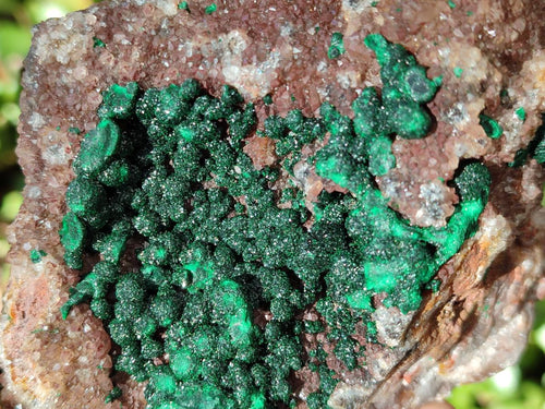 Natural Ball Malachite Specimens Coated with Limonite Quartz on Dolomite x 2 From Mindingi Mine, Congo - Toprock Gemstones and Minerals 