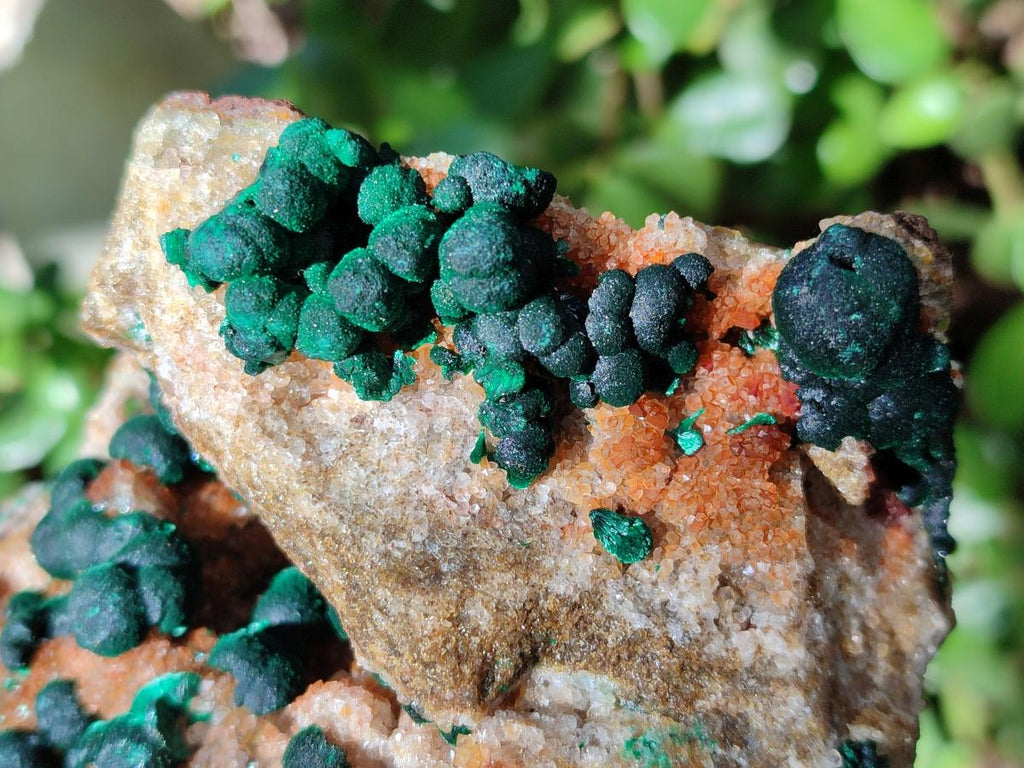 Natural Ball Malachite Specimens Coated with Limonite Quartz on Dolomite x 2 From Mindingi Mine, Congo - Toprock Gemstones and Minerals 