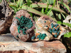 Natural Ball Malachite Specimens Coated with Limonite Quartz on Dolomite x 2 From Mindingi Mine, Congo - Toprock Gemstones and Minerals 
