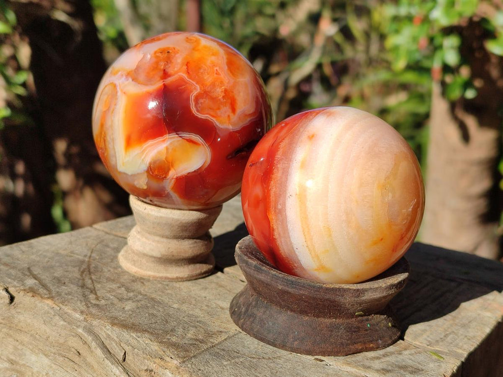 Polished and Natural Carnelian Agate Gemstone Spheres x 4 From Madagascar - Toprock Gemstones and Minerals 
