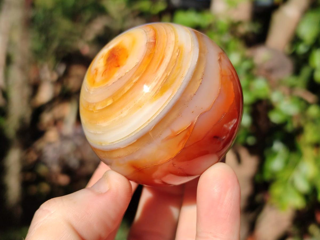 Polished and Natural Carnelian Agate Gemstone Spheres x 4 From Madagascar - Toprock Gemstones and Minerals 