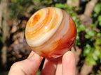 Polished and Natural Carnelian Agate Gemstone Spheres x 4 From Madagascar - Toprock Gemstones and Minerals 