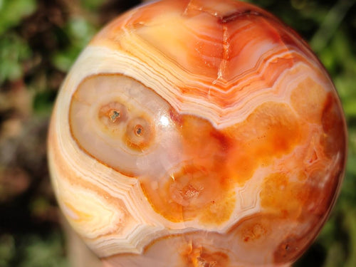 Polished and Natural Carnelian Agate Gemstone Spheres x 4 From Madagascar - Toprock Gemstones and Minerals 