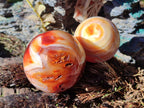 Polished and Natural Carnelian Agate Gemstone Spheres x 4 From Madagascar - Toprock Gemstones and Minerals 