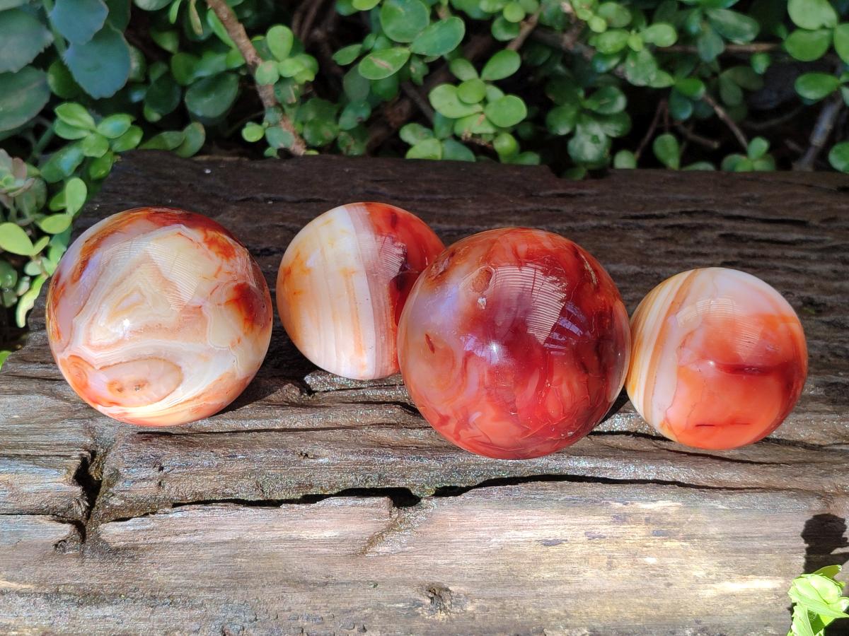 Polished and Natural Carnelian Agate Gemstone Spheres x 4 From Madagascar - Toprock Gemstones and Minerals 