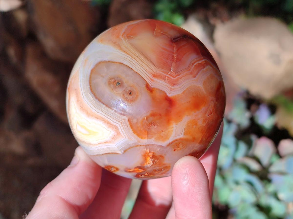 Polished and Natural Carnelian Agate Gemstone Spheres x 4 From Madagascar - Toprock Gemstones and Minerals 