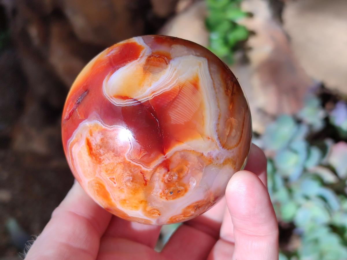 Polished and Natural Carnelian Agate Gemstone Spheres x 4 From Madagascar - Toprock Gemstones and Minerals 
