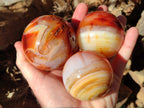 Polished and Natural Carnelian Agate Gemstone Spheres x 4 From Madagascar - Toprock Gemstones and Minerals 