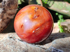 Polished and Natural Carnelian Agate Gemstone Spheres x 4 From Madagascar - Toprock Gemstones and Minerals 