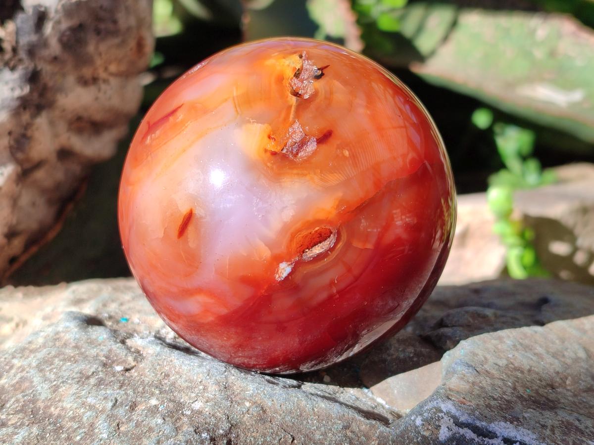 Polished and Natural Carnelian Agate Gemstone Spheres x 4 From Madagascar - Toprock Gemstones and Minerals 