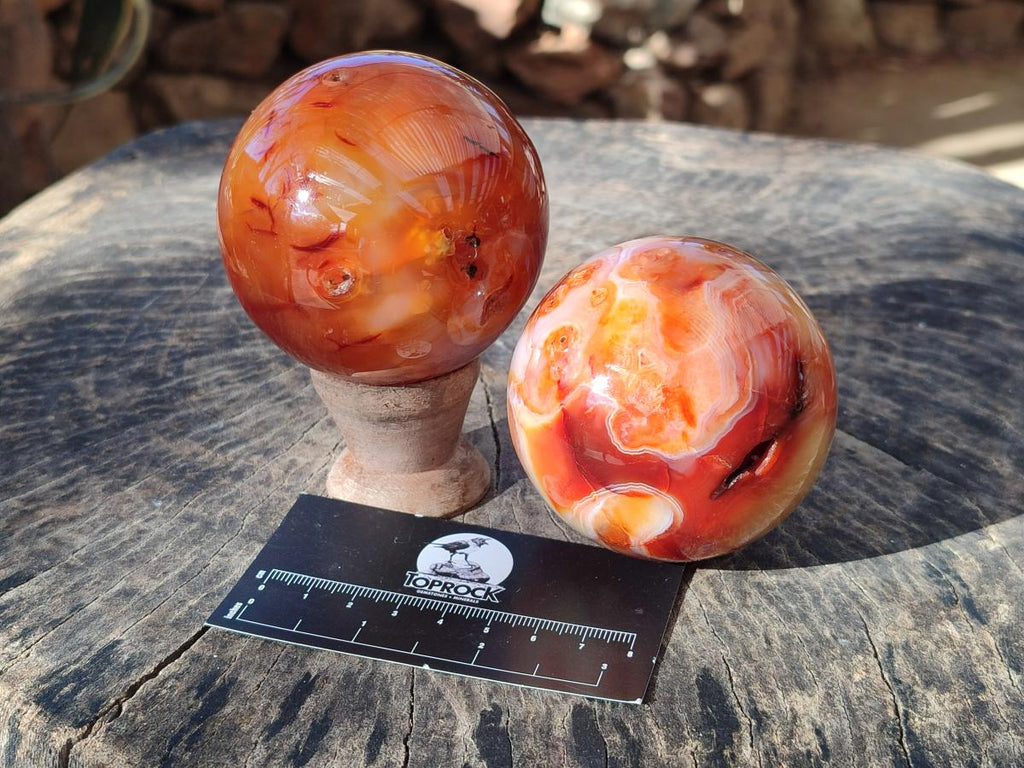 Polished and Natural Carnelian Agate Gemstone Spheres x 4 From Madagascar - Toprock Gemstones and Minerals 