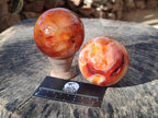 Polished and Natural Carnelian Agate Gemstone Spheres x 4 From Madagascar - Toprock Gemstones and Minerals 