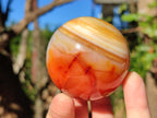 Polished and Natural Carnelian Agate Gemstone Spheres x 4 From Madagascar - Toprock Gemstones and Minerals 