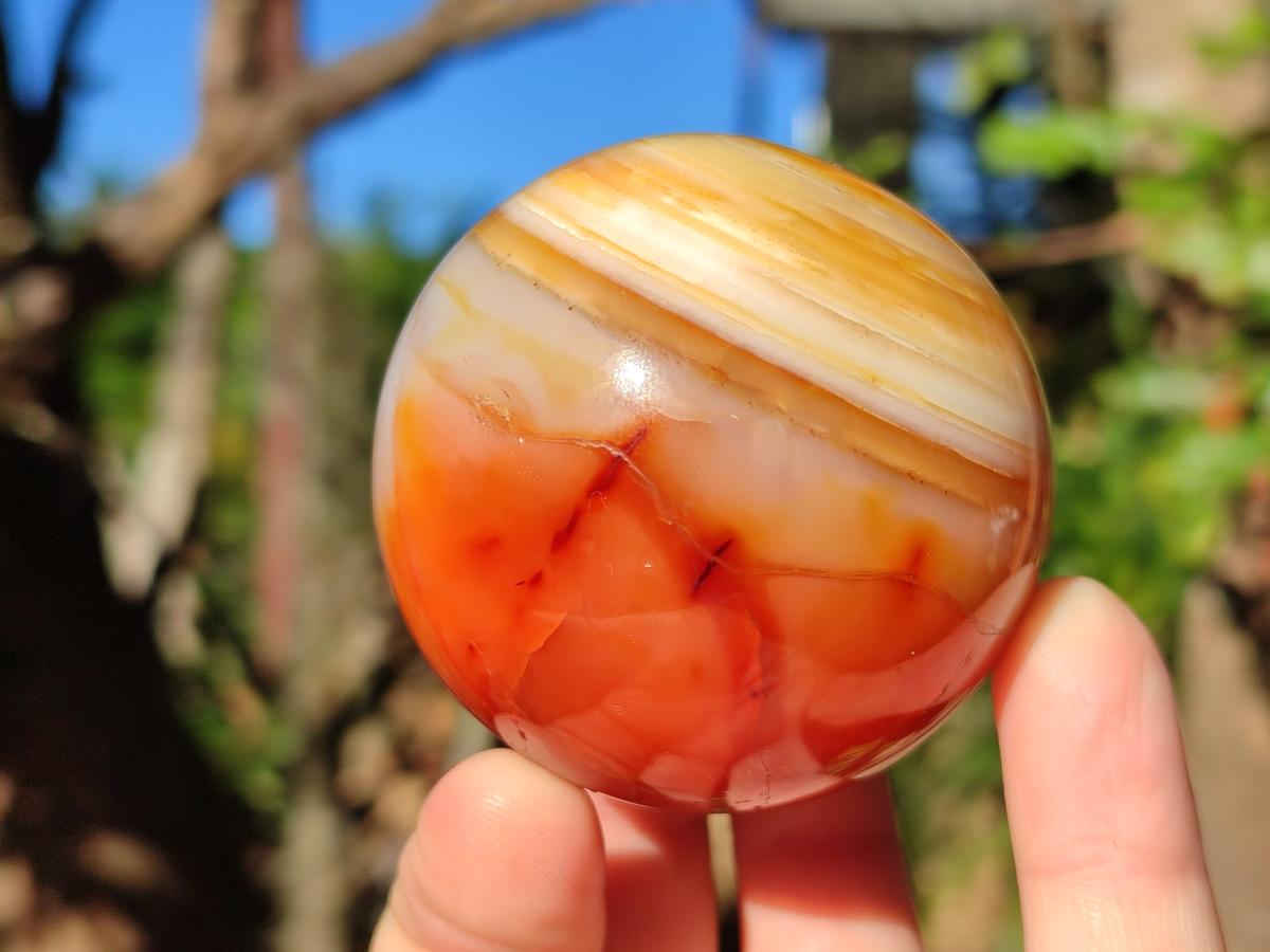 Polished and Natural Carnelian Agate Gemstone Spheres x 4 From Madagascar - Toprock Gemstones and Minerals 