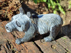 Hand Made Large Panda Soapstone Carving x 1 From Zimbabwe - Toprock Gemstones and Minerals 