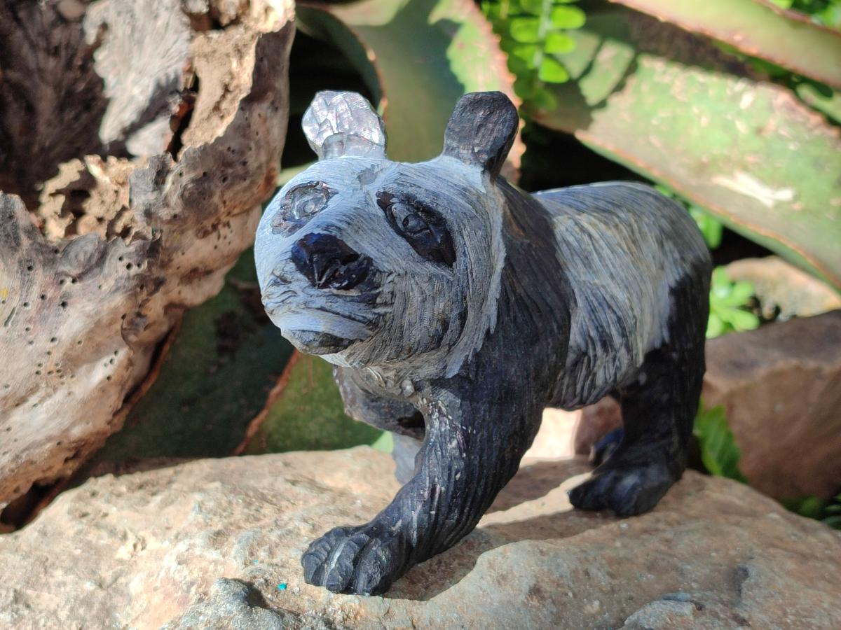 Hand Made Large Panda Soapstone Carving x 1 From Zimbabwe - Toprock Gemstones and Minerals 
