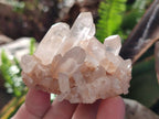 Natural Mixed Crystalline Quartz Clusters x 24 From Madagascar - Toprock Gemstones and Minerals 