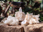 Natural Mixed Crystalline Quartz Clusters x 24 From Madagascar - Toprock Gemstones and Minerals 