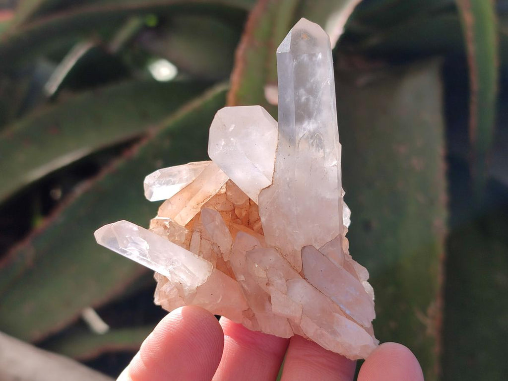 Natural Mixed Crystalline Quartz Clusters x 24 From Madagascar - Toprock Gemstones and Minerals 
