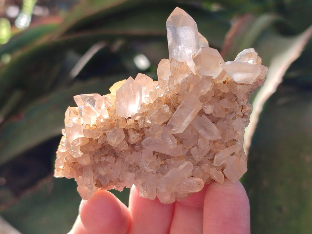 Natural Mixed Crystalline Quartz Clusters x 24 From Madagascar - Toprock Gemstones and Minerals 