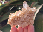 Natural Mixed Crystalline Quartz Clusters x 24 From Madagascar - Toprock Gemstones and Minerals 