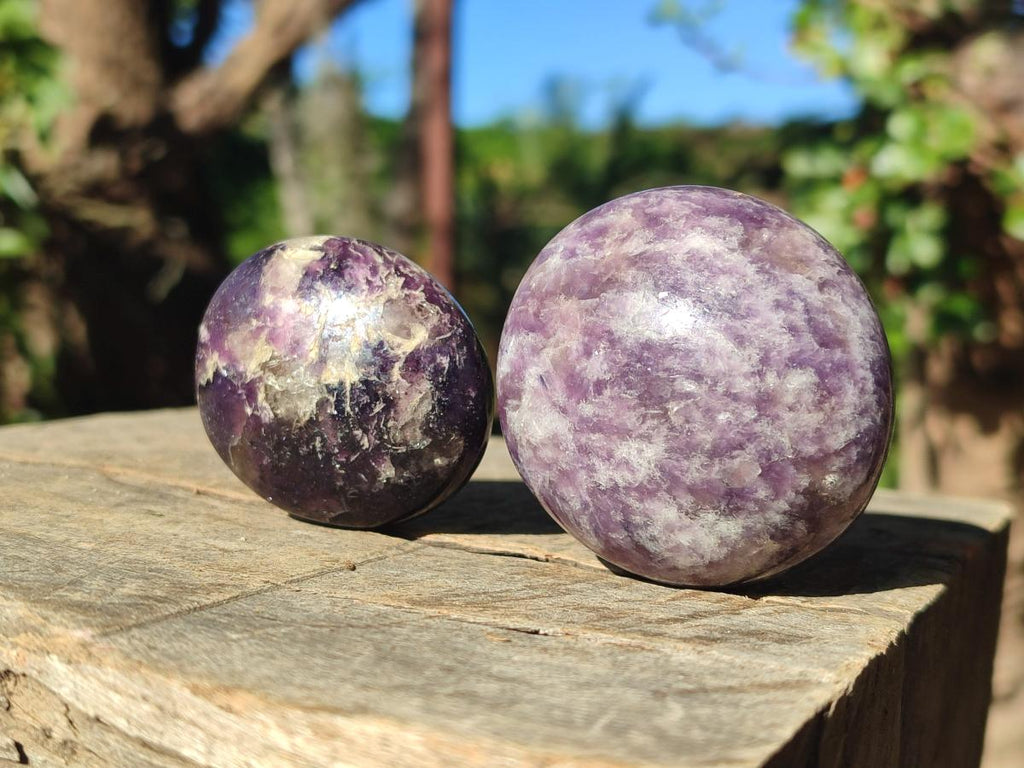 Polished Lepidolite Galets x 24 From Ambatondrazaka, Madagascar - Toprock Gemstones and Minerals 