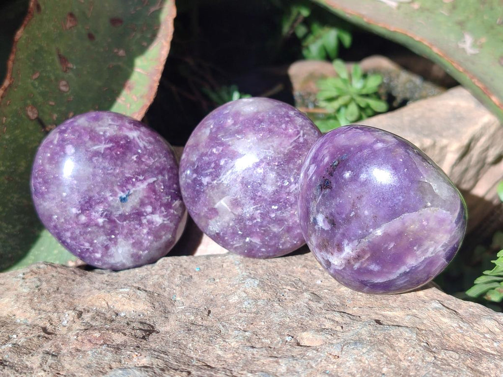 Polished Lepidolite Galets x 24 From Ambatondrazaka, Madagascar - Toprock Gemstones and Minerals 