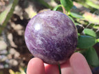 Polished Lepidolite Galets x 24 From Ambatondrazaka, Madagascar - Toprock Gemstones and Minerals 