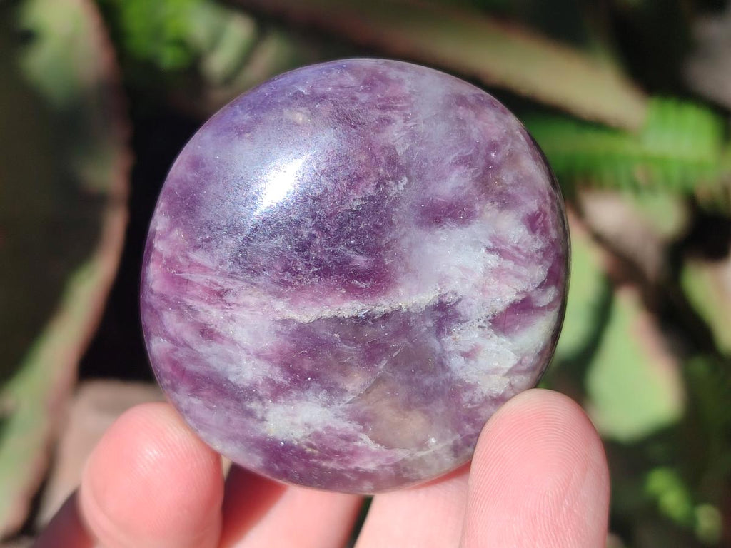 Polished Lepidolite Galets x 24 From Ambatondrazaka, Madagascar - Toprock Gemstones and Minerals 