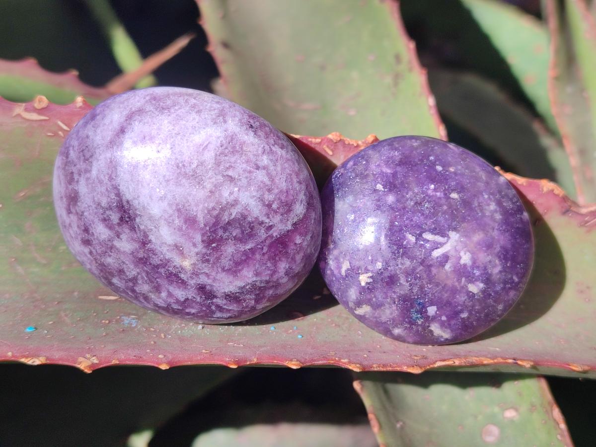 Polished Lepidolite Galets x 24 From Ambatondrazaka, Madagascar - Toprock Gemstones and Minerals 