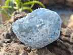 Natural Mini Blue Celestite Specimens x 4,2 Kg Lot From Sakoany, Madagascar - Toprock Gemstones and Minerals 