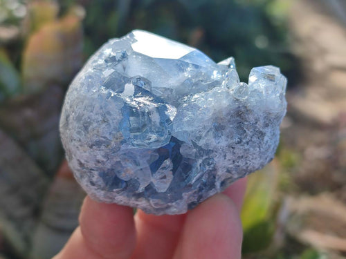 Natural Mini Blue Celestite Specimens x 4,2 Kg Lot From Sakoany, Madagascar - Toprock Gemstones and Minerals 