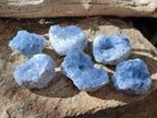 Natural Mini Blue Celestite Specimens x 4,2 Kg Lot From Sakoany, Madagascar - Toprock Gemstones and Minerals 