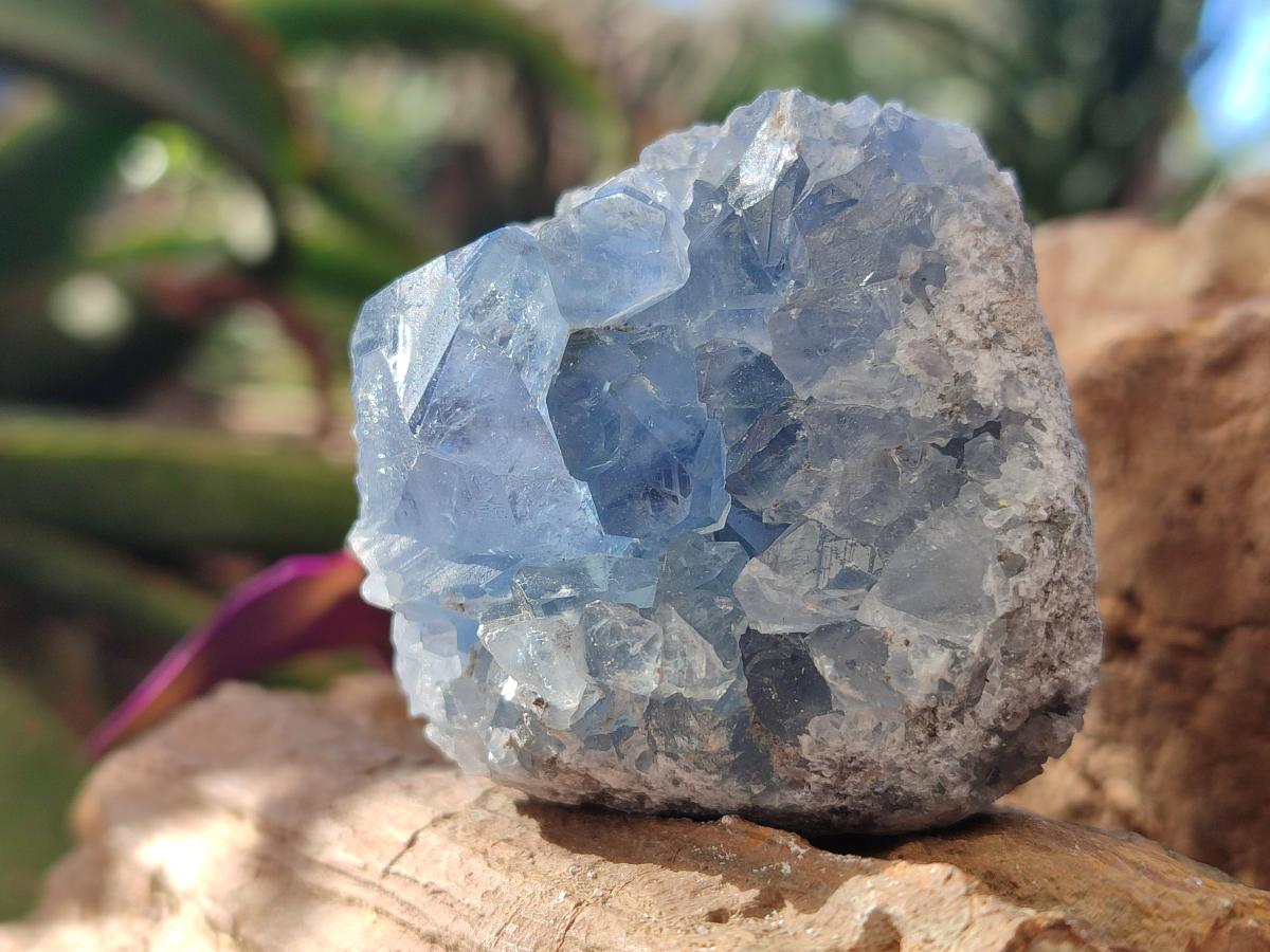 Natural Mini Blue Celestite Specimens x 4,2 Kg Lot From Sakoany, Madagascar - Toprock Gemstones and Minerals 