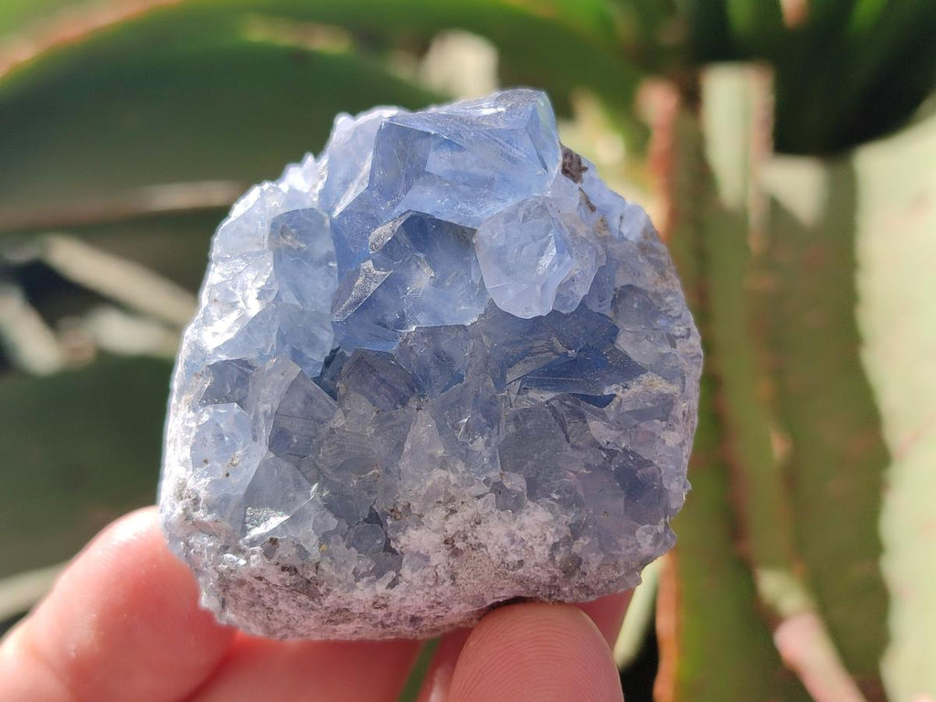 Natural Mini Blue Celestite Specimens x 4,2 Kg Lot From Sakoany, Madagascar - Toprock Gemstones and Minerals 