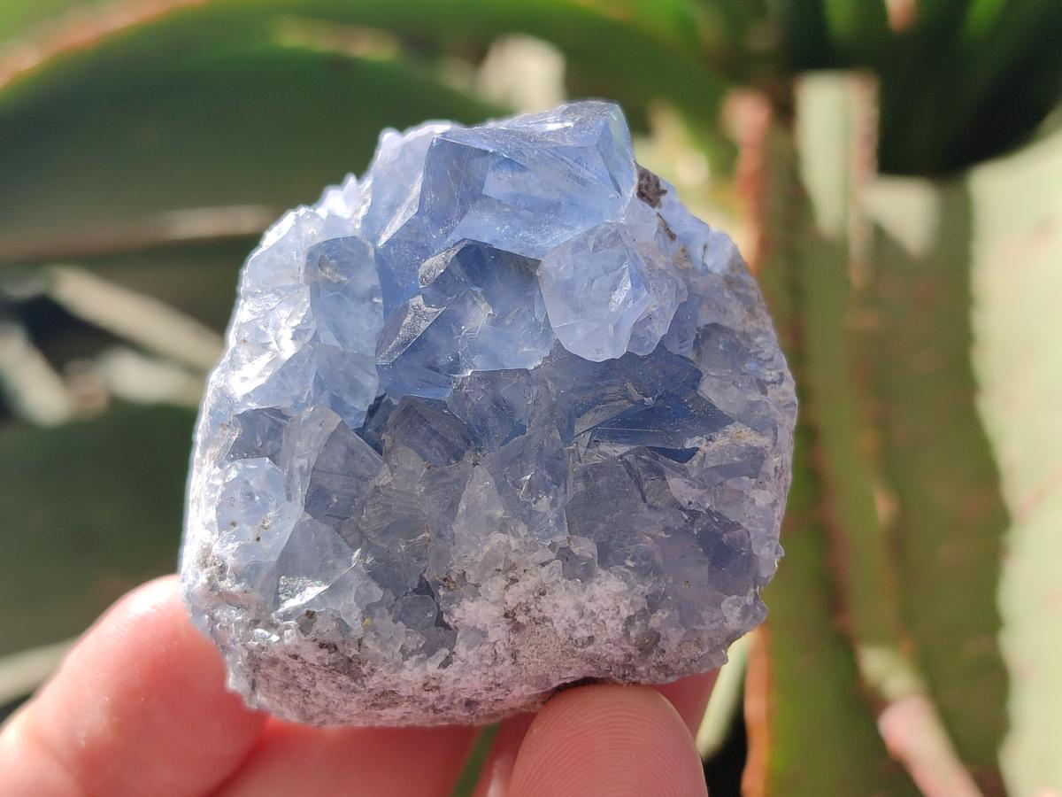 Natural Mini Blue Celestite Specimens x 4,2 Kg Lot From Sakoany, Madagascar - Toprock Gemstones and Minerals 